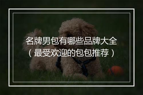 名牌男包有哪些品牌大全（最受欢迎的包包推荐）