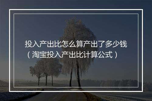 投入产出比怎么算产出了多少钱（淘宝投入产出比计算公式）