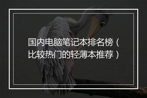 国内电脑笔记本排名榜（比较热门的轻薄本推荐）