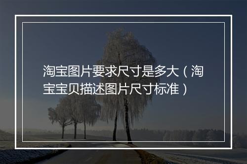 淘宝图片要求尺寸是多大（淘宝宝贝描述图片尺寸标准）