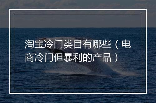 淘宝冷门类目有哪些（电商冷门但暴利的产品）