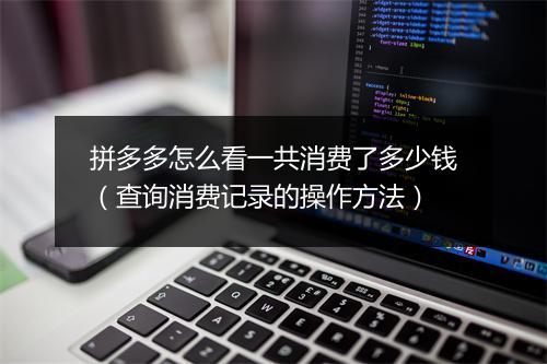 拼多多怎么看一共消费了多少钱（查询消费记录的操作方法）