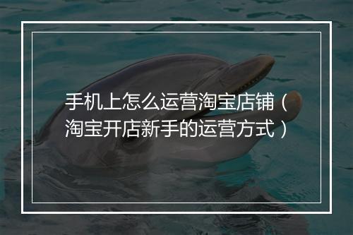 手机上怎么运营淘宝店铺（淘宝开店新手的运营方式）