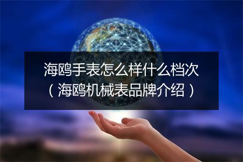 海鸥手表怎么样什么档次（海鸥机械表品牌介绍）