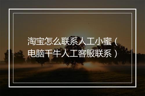 淘宝怎么联系人工小蜜（电脑千牛人工客服联系）