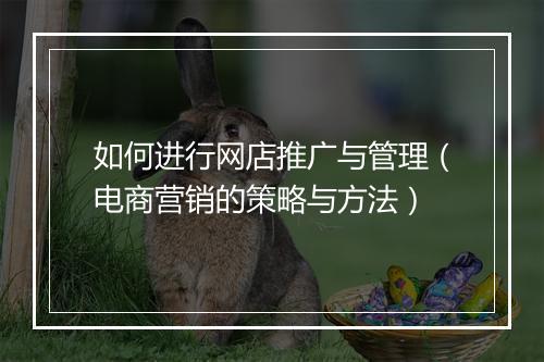 如何进行网店推广与管理（电商营销的策略与方法）
