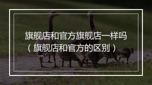 旗舰店和官方旗舰店一样吗（旗舰店和官方的区别）