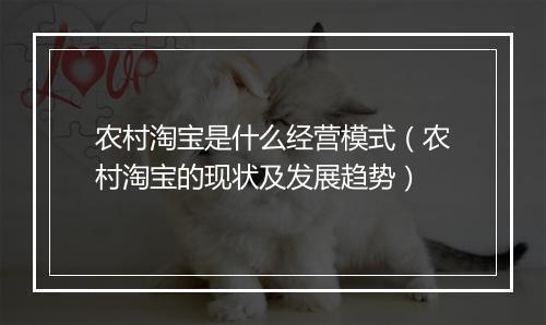 农村淘宝是什么经营模式（农村淘宝的现状及发展趋势）