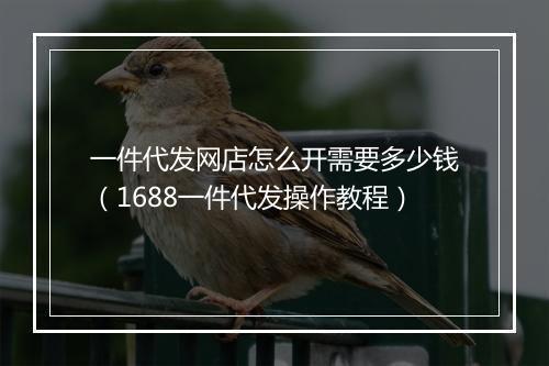 一件代发网店怎么开需要多少钱（1688一件代发操作教程）