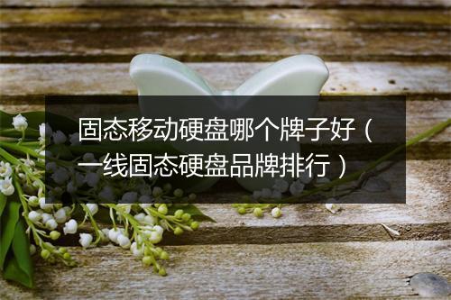 固态移动硬盘哪个牌子好（一线固态硬盘品牌排行）