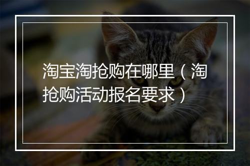 淘宝淘抢购在哪里（淘抢购活动报名要求）
