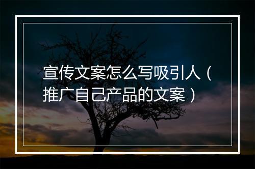 宣传文案怎么写吸引人（推广自己产品的文案）