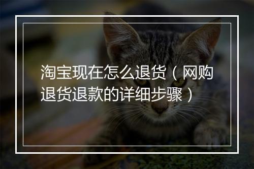 淘宝现在怎么退货（网购退货退款的详细步骤）