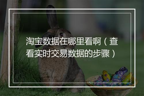 淘宝数据在哪里看啊（查看实时交易数据的步骤）