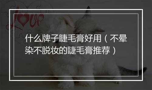 什么牌子睫毛膏好用（不晕染不脱妆的睫毛膏推荐）