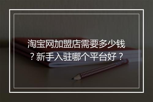 淘宝网加盟店需要多少钱？新手入驻哪个平台好？