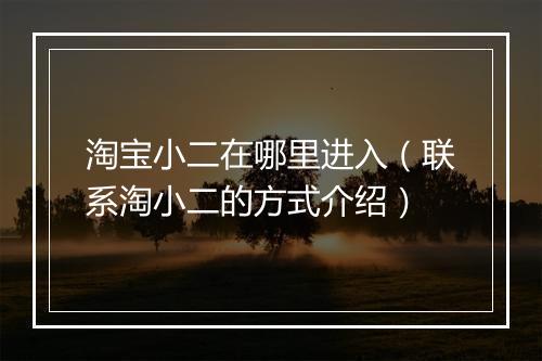 淘宝小二在哪里进入（联系淘小二的方式介绍）