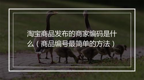 淘宝商品发布的商家编码是什么（商品编号最简单的方法）