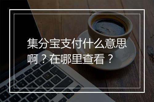 集分宝支付什么意思啊？在哪里查看？