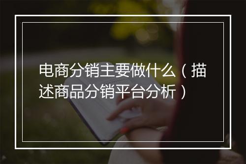 电商分销主要做什么（描述商品分销平台分析）