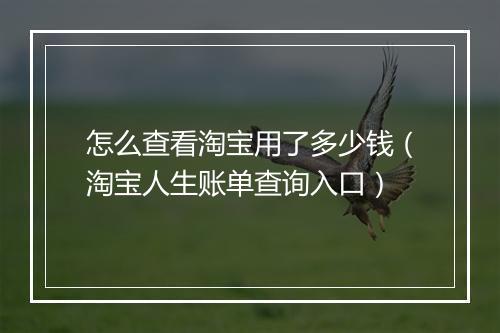 怎么查看淘宝用了多少钱（淘宝人生账单查询入口）