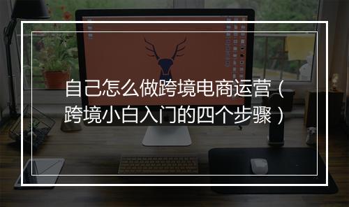 自己怎么做跨境电商运营（跨境小白入门的四个步骤）