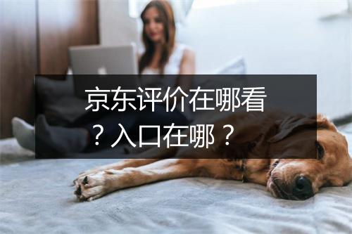 京东评价在哪看？入口在哪？
