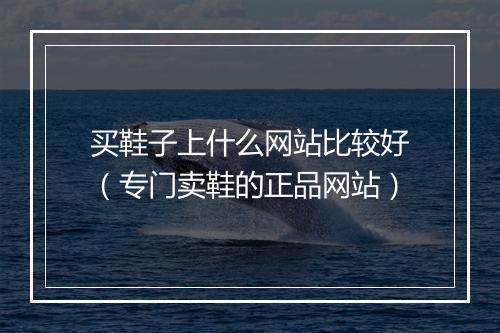 买鞋子上什么网站比较好（专门卖鞋的正品网站）