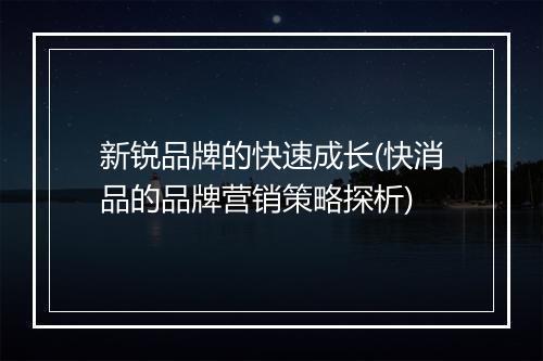 新锐品牌的快速成长(快消品的品牌营销策略探析)