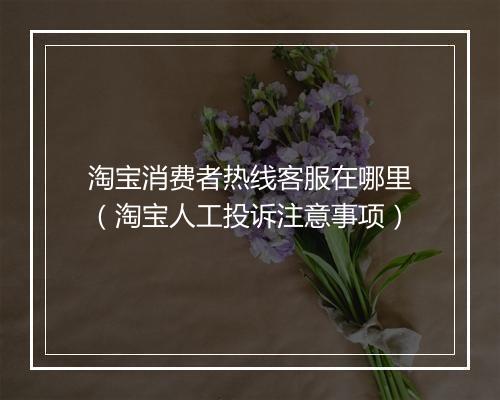 淘宝消费者热线客服在哪里（淘宝人工投诉注意事项）