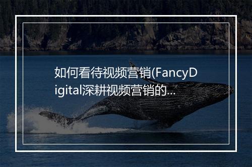 如何看待视频营销(FancyDigital深耕视频营销的3大趋势)