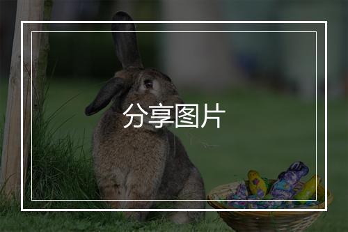 分享图片