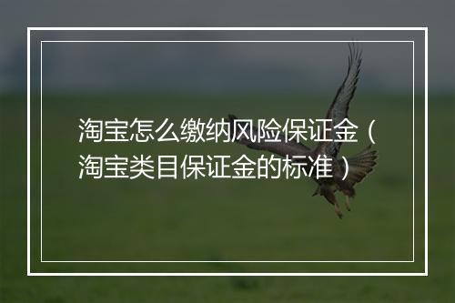 淘宝怎么缴纳风险保证金（淘宝类目保证金的标准）