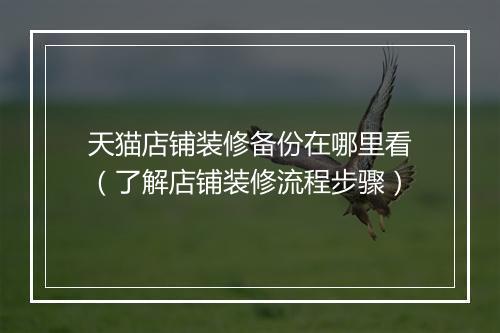 天猫店铺装修备份在哪里看（了解店铺装修流程步骤）