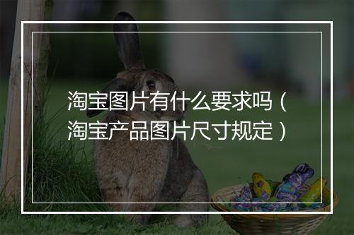 淘宝图片有什么要求吗（淘宝产品图片尺寸规定）