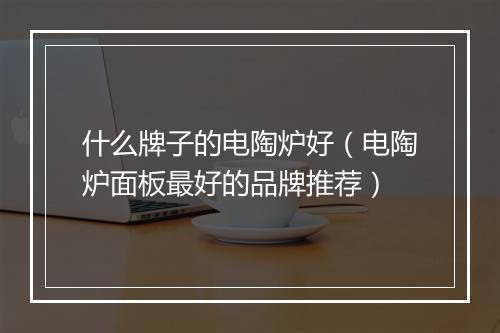 什么牌子的电陶炉好（电陶炉面板最好的品牌推荐）
