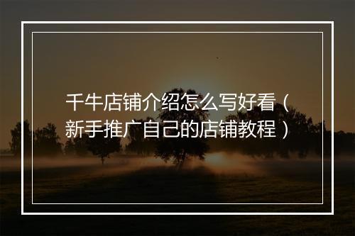 千牛店铺介绍怎么写好看（新手推广自己的店铺教程）