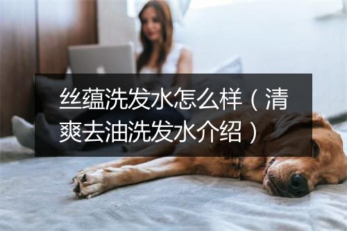 丝蕴洗发水怎么样（清爽去油洗发水介绍）