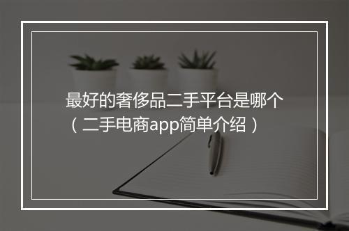 最好的奢侈品二手平台是哪个（二手电商app简单介绍）