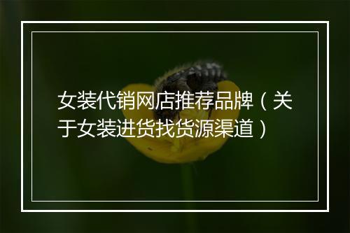 女装代销网店推荐品牌（关于女装进货找货源渠道）