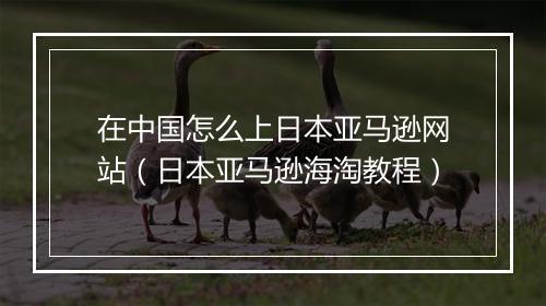 在中国怎么上日本亚马逊网站（日本亚马逊海淘教程）