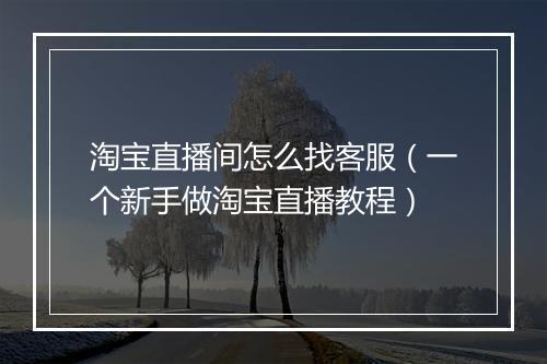 淘宝直播间怎么找客服（一个新手做淘宝直播教程）