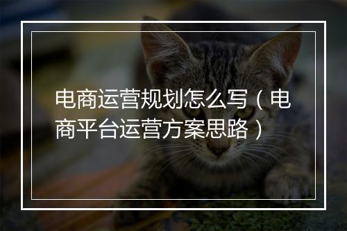 电商运营规划怎么写（电商平台运营方案思路）