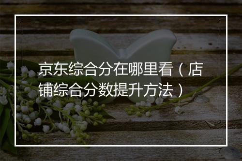 京东综合分在哪里看（店铺综合分数提升方法）