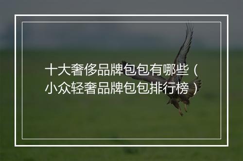 十大奢侈品牌包包有哪些（小众轻奢品牌包包排行榜）