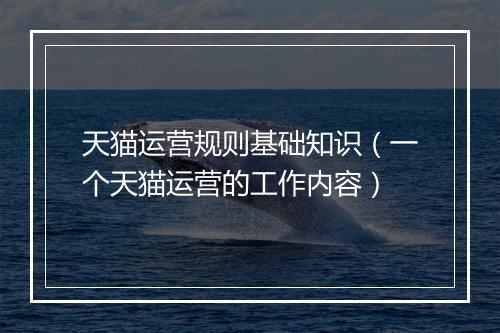 天猫运营规则基础知识（一个天猫运营的工作内容）