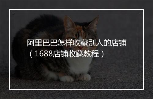 阿里巴巴怎样收藏别人的店铺（1688店铺收藏教程）
