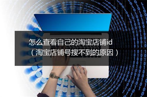 怎么查看自己的淘宝店铺id（淘宝店铺号搜不到的原因）
