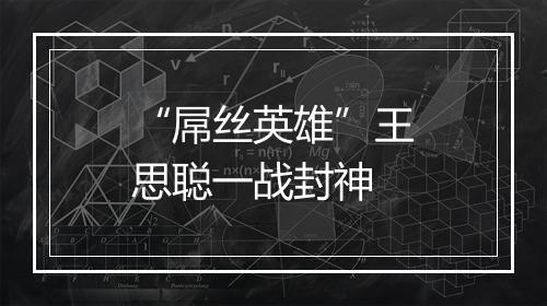 “屌丝英雄”王思聪一战封神