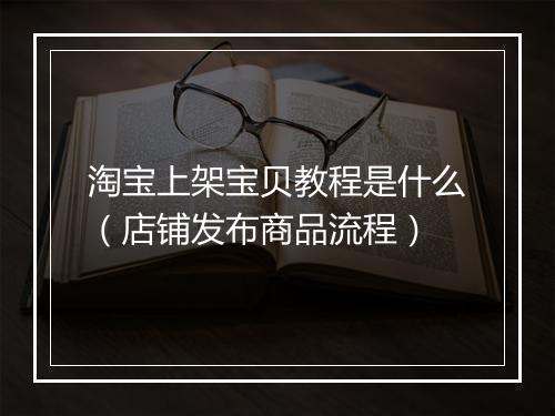 淘宝上架宝贝教程是什么（店铺发布商品流程）